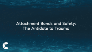 Attachment Bonds and Safety: The Antidote to Trauma